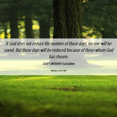 Picture 06 - Matthew 24:22 GW - If God does not reduce the number of those days, - Bible Verse Picture