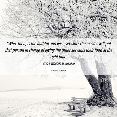 Picture 06 - Matthew 24:45 GW - “Who, then, is the faithful and wise servant? - Bible Verse Picture