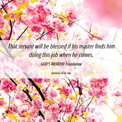 Picture 06 - Matthew 24:46 GW - That servant will be blessed if his master finds - Bible Verse Picture