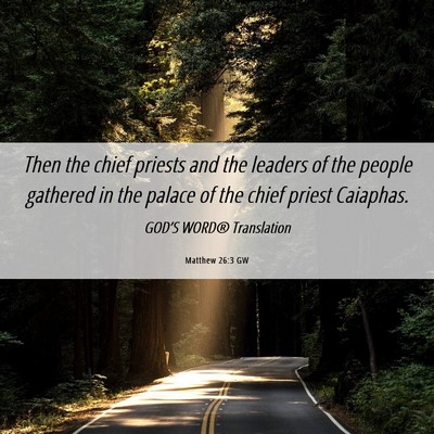 Picture 06 - Matthew 26:3 GW - Then the chief priests and the leaders of the - Bible Verse Picture