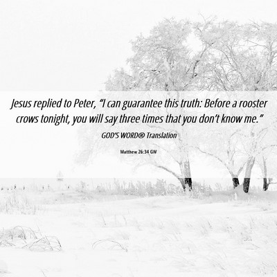 Picture 06 - Matthew 26:34 GW - Jesus replied to Peter, “I can guarantee this - Bible Verse Picture