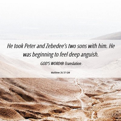 Picture 06 - Matthew 26:37 GW - He took Peter and Zebedee’s two sons with him. - Bible Verse Picture