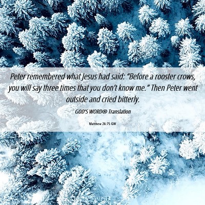 Picture 06 - Matthew 26:75 GW - Peter remembered what Jesus had said: “Before a - Bible Verse Picture