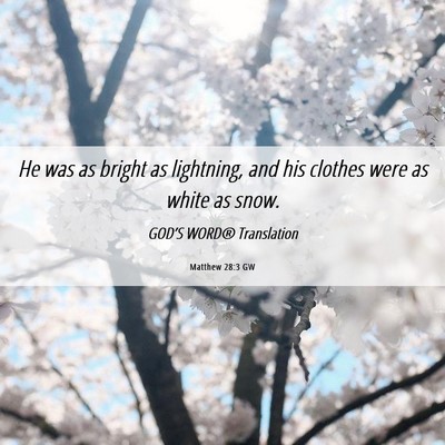 Picture 06 - Matthew 28:3 GW - He was as bright as lightning, and his clothes - Bible Verse Picture