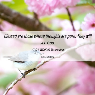 Picture 06 - Matthew 5:8 GW - Blessed are those whose thoughts are pure. They - Bible Verse Picture