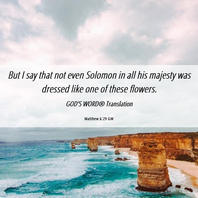 Picture 06 - Matthew 6:29 GW - But I say that not even Solomon in all his - Bible Verse Picture