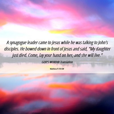 Picture 06 - Matthew 9:18 GW - A synagogue leader came to Jesus while he was - Bible Verse Picture