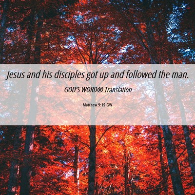 Picture 06 - Matthew 9:19 GW - Jesus and his disciples got up and followed the - Bible Verse Picture