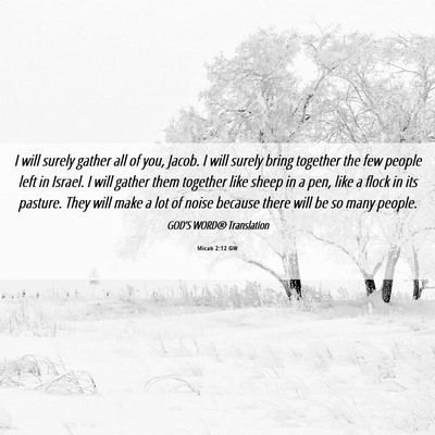 Picture 06 - Micah 2:12 GW - I will surely gather all of you, Jacob. I will - Bible Verse Picture