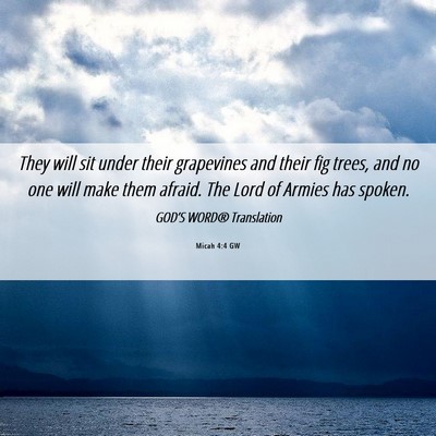 Picture 06 - Micah 4:4 GW - They will sit under their grapevines and their - Bible Verse Picture