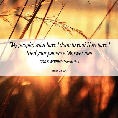 Picture 06 - Micah 6:3 GW - “My people, what have I done to you? How have I - Bible Verse Picture