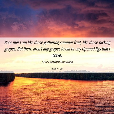 Picture 06 - Micah 7:1 GW - Poor me! I am like those gathering summer fruit, - Bible Verse Picture