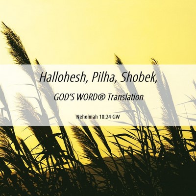 Picture 06 - Nehemiah 10:24 GW - Hallohesh, Pilha, - Bible Verse Picture