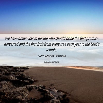 Picture 06 - Nehemiah 10:35 GW - We have drawn lots to decide who should bring the - Bible Verse Picture