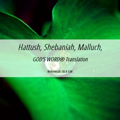 Picture 06 - Nehemiah 10:4 GW - Hattush, Shebaniah, - Bible Verse Picture