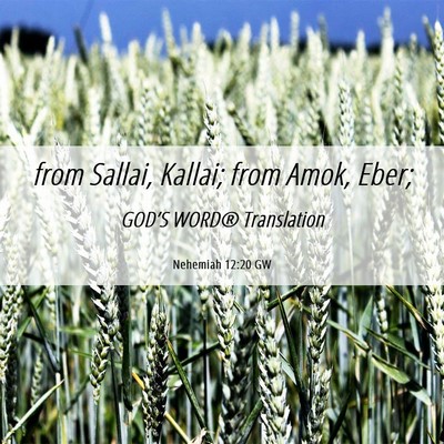 Picture 06 - Nehemiah 12:20 GW - from Sallai, Kallai; from Amok, - Bible Verse Picture