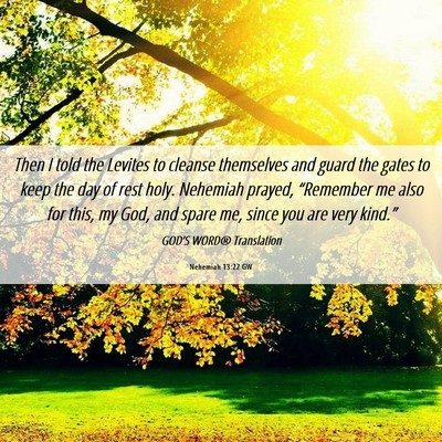 Picture 06 - Nehemiah 13:22 GW - Then I told the Levites to cleanse themselves and - Bible Verse Picture