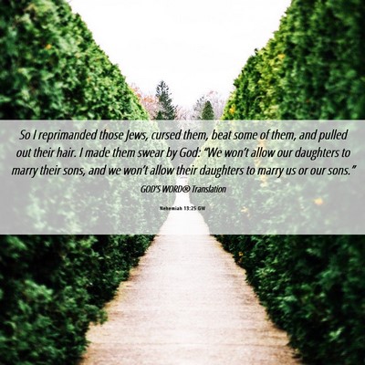 Picture 06 - Nehemiah 13:25 GW - So I reprimanded those Jews, cursed them, beat - Bible Verse Picture