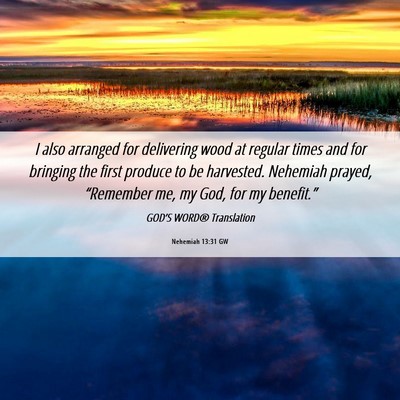 Picture 06 - Nehemiah 13:31 GW - I also arranged for delivering wood at regular - Bible Verse Picture
