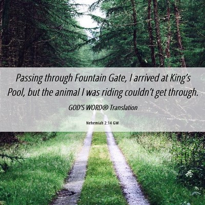 Picture 06 - Nehemiah 2:14 GW - Passing through Fountain Gate, I arrived at - Bible Verse Picture
