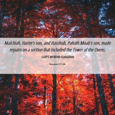 Picture 06 - Nehemiah 3:11 GW - Malchiah, Harim’s son, and Hasshub, Pahath - Bible Verse Picture