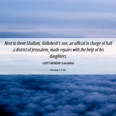 Picture 06 - Nehemiah 3:12 GW - Next to them Shallum, Hallohesh’s son, an - Bible Verse Picture