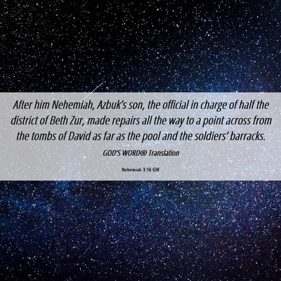 Picture 06 - Nehemiah 3:16 GW - After him Nehemiah, Azbuk’s son, the official - Bible Verse Picture
