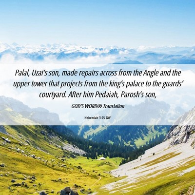 Picture 06 - Nehemiah 3:25 GW - Palal, Uzai’s son, made repairs across from the - Bible Verse Picture