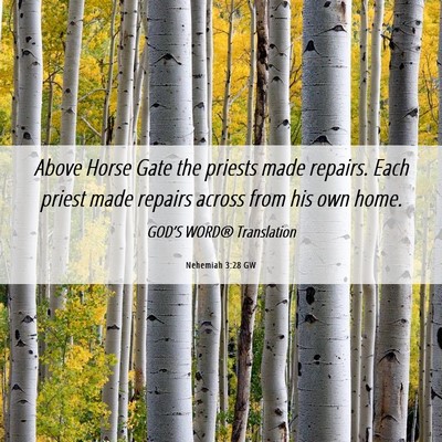 Picture 06 - Nehemiah 3:28 GW - Above Horse Gate the priests made repairs. Each - Bible Verse Picture