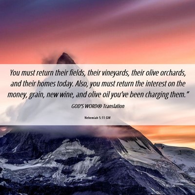 Picture 06 - Nehemiah 5:11 GW - You must return their fields, their vineyards, - Bible Verse Picture