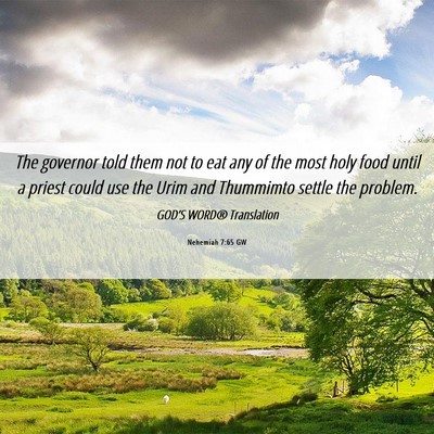 Picture 06 - Nehemiah 7:65 GW - The governor told them not to eat any of the most - Bible Verse Picture