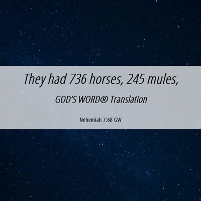 Picture 06 - Nehemiah 7:68 GW - They had 736 horses, 245 - Bible Verse Picture