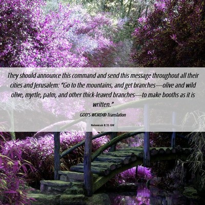 Picture 06 - Nehemiah 8:15 GW - They should announce this command and send this - Bible Verse Picture