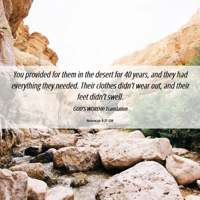 Picture 06 - Nehemiah 9:21 GW - You provided for them in the desert for 40 years, - Bible Verse Picture