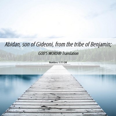 Picture 06 - Numbers 1:11 GW - Abidan, son of Gideoni, from the tribe of - Bible Verse Picture