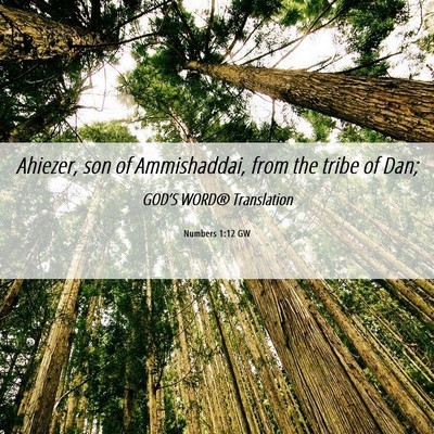 Picture 06 - Numbers 1:12 GW - Ahiezer, son of Ammishaddai, from the tribe of - Bible Verse Picture