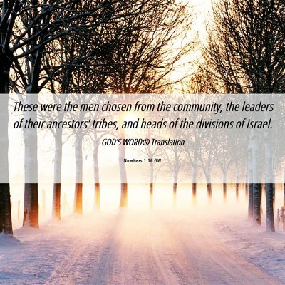 Picture 06 - Numbers 1:16 GW - These were the men chosen from the community, the - Bible Verse Picture