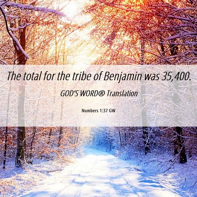 Picture 06 - Numbers 1:37 GW - The total for the tribe of Benjamin was - Bible Verse Picture