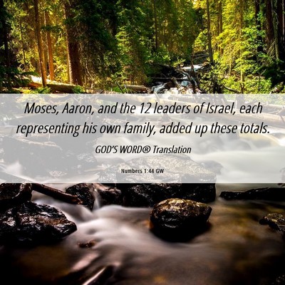 Picture 06 - Numbers 1:44 GW - Moses, Aaron, and the 12 leaders of Israel, each - Bible Verse Picture