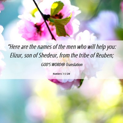 Picture 06 - Numbers 1:5 GW - “Here are the names of the men who will help - Bible Verse Picture
