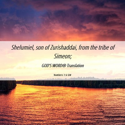 Picture 06 - Numbers 1:6 GW - Shelumiel, son of Zurishaddai, from the tribe of - Bible Verse Picture