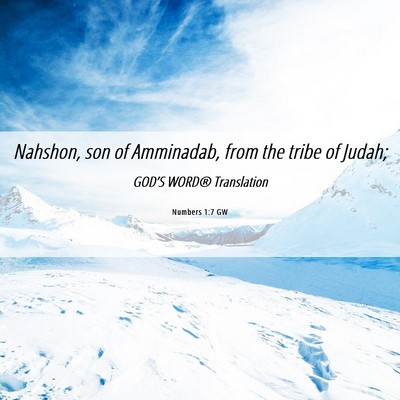 Picture 06 - Numbers 1:7 GW - Nahshon, son of Amminadab, from the tribe of - Bible Verse Picture