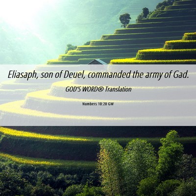 Picture 06 - Numbers 10:20 GW - Eliasaph, son of Deuel, commanded the army of - Bible Verse Picture