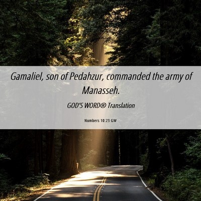 Picture 06 - Numbers 10:23 GW - Gamaliel, son of Pedahzur, commanded the army of - Bible Verse Picture