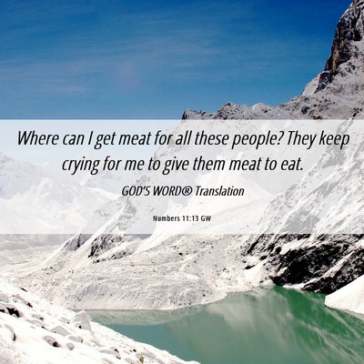 Picture 06 - Numbers 11:13 GW - Where can I get meat for all these people? They - Bible Verse Picture