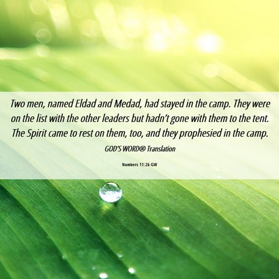 Picture 06 - Numbers 11:26 GW - Two men, named Eldad and Medad, had stayed in the - Bible Verse Picture