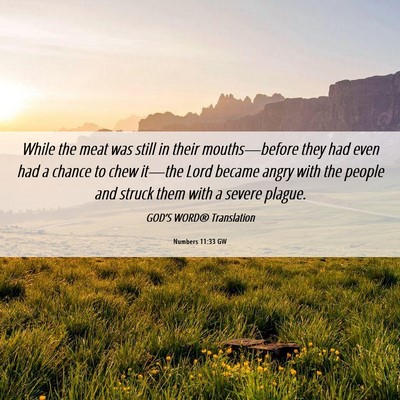 Picture 06 - Numbers 11:33 GW - While the meat was still in their mouths—before - Bible Verse Picture