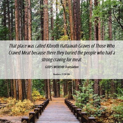 Picture 06 - Numbers 11:34 GW - That place was called Kibroth Hattaavah Graves of - Bible Verse Picture