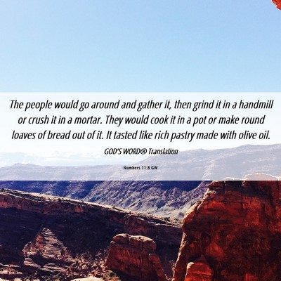 Picture 06 - Numbers 11:8 GW - The people would go around and gather it, then - Bible Verse Picture