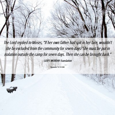 Picture 06 - Numbers 12:14 GW - The Lord replied to Moses, “If her own father - Bible Verse Picture